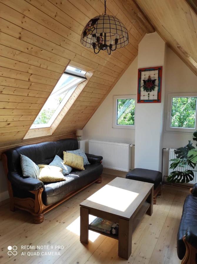 Art-House 4 Attic Apartment Дечин Экстерьер фото